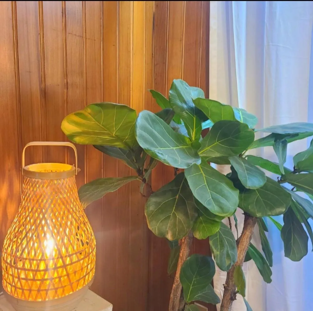 Yeonnam House Hotel Seoul