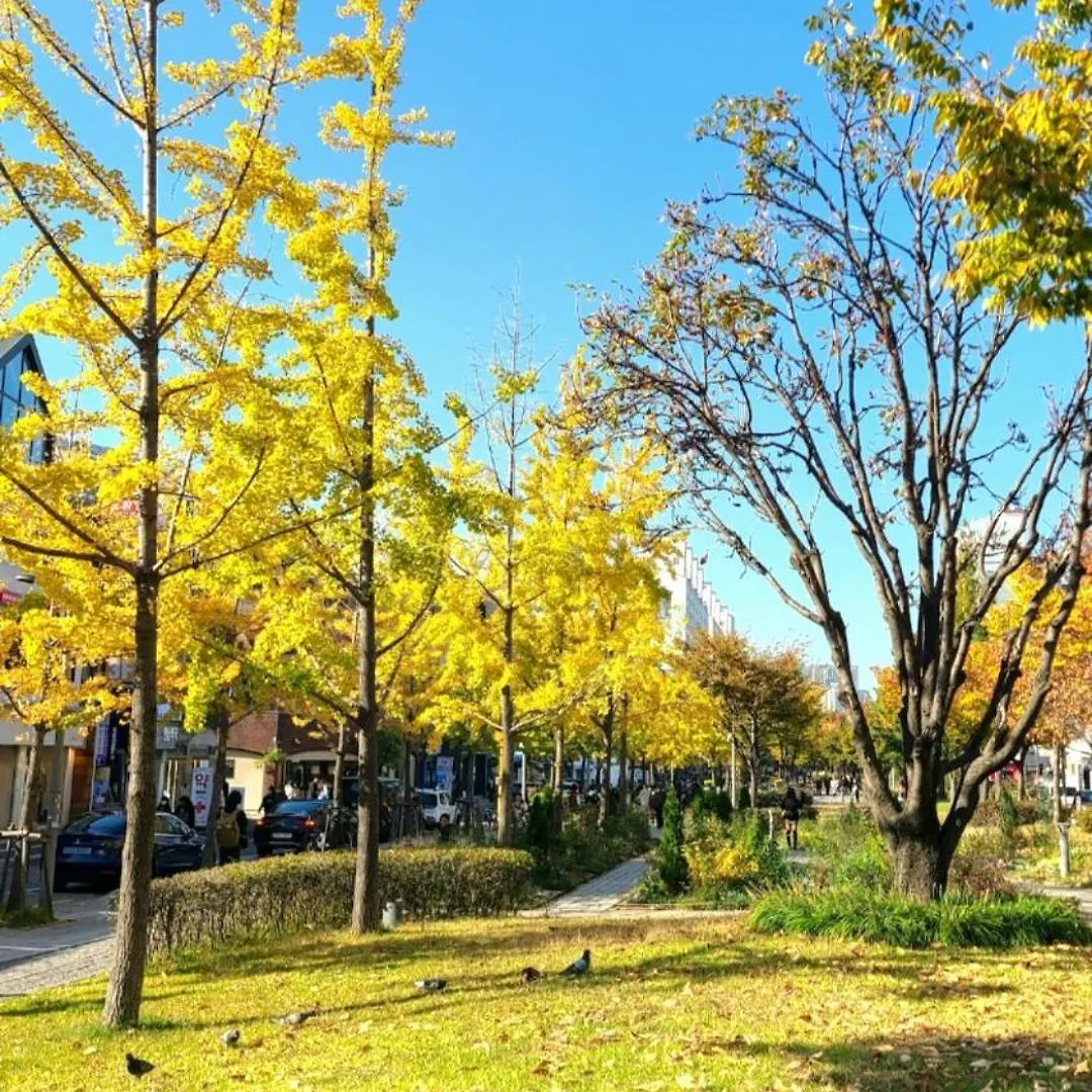 Yeonnam House Hotel Seoul South Korea